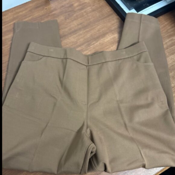GRAVER by SUSAN GRAVER REGULAR SMART KNIT PONTE SLIM LEG PANT DESERT TAUPE 1X - Picture 4 of 6